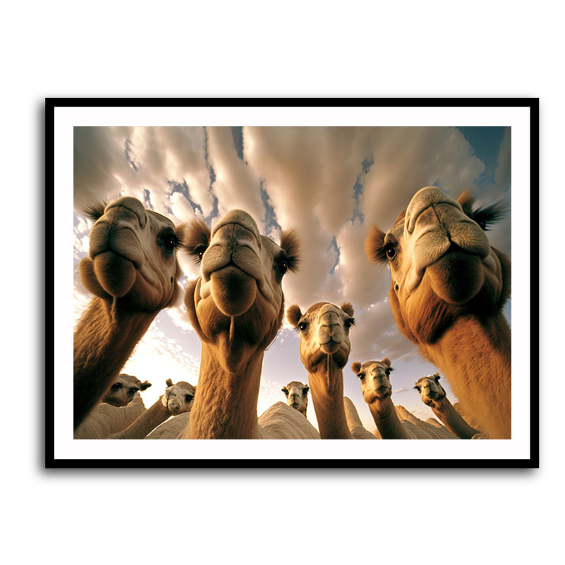 Camels From Below Wall Art